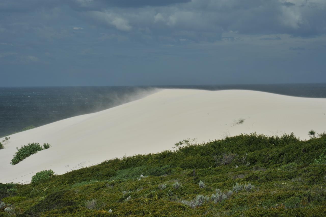 De Hoop Collection Suites De Hoop Nature Reserve Bagian luar foto