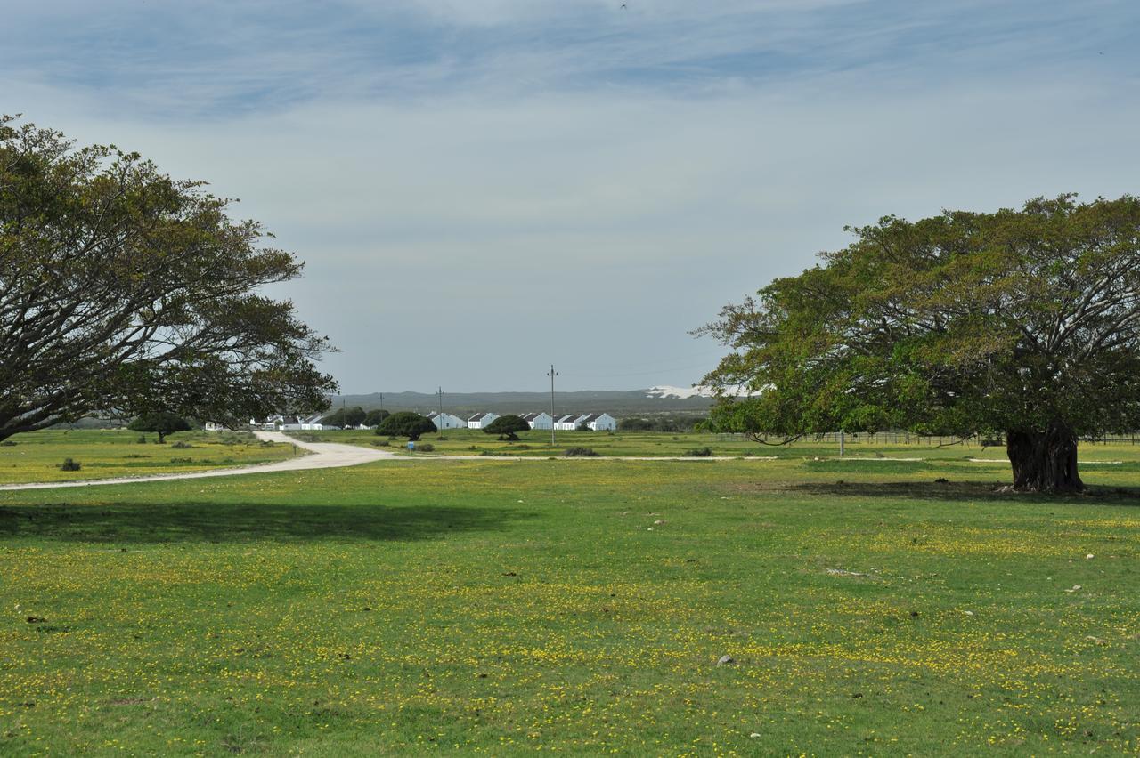 De Hoop Collection Suites De Hoop Nature Reserve Bagian luar foto