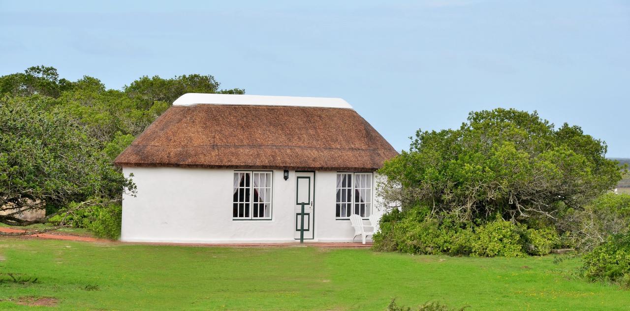 De Hoop Collection Suites De Hoop Nature Reserve Bagian luar foto